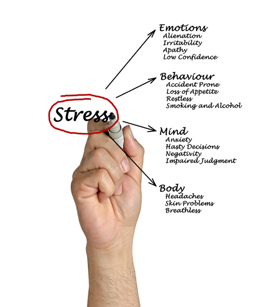 Diagrama das consequências do stress
 - Foto, Imagem