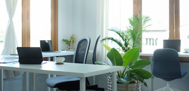 Bright modern office with computer laptop, houseplant and supplies on wooden table	 - Photo, Image