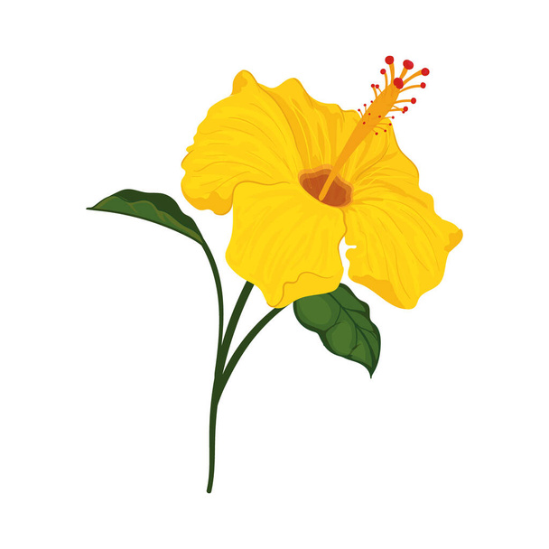 yellow orchid design - Vector, Image