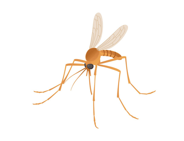 白い背景に隔離された茶色の蚊の血吸虫の漫画のデザインベクトルイラスト - ベクター画像
