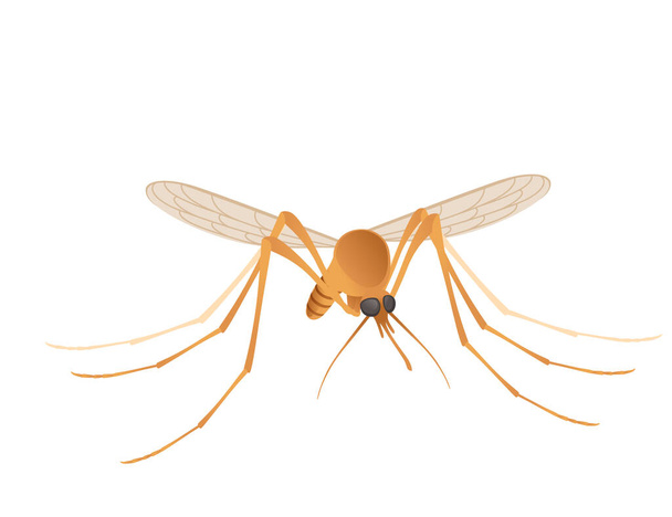 Καφέ κουνούπι αιμορουφώντας έντομο σχέδιο κινουμένων σχεδίων διανυσματική απεικόνιση απομονωμένη σε λευκό φόντο - Διάνυσμα, εικόνα