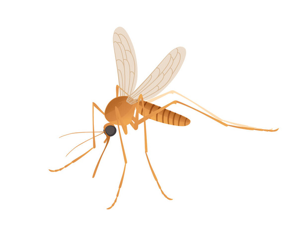 Καφέ κουνούπι αιμορουφώντας έντομο σχέδιο κινουμένων σχεδίων διανυσματική απεικόνιση απομονωμένη σε λευκό φόντο - Διάνυσμα, εικόνα