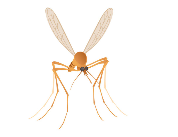Mosquito marrón chupasangre insecto dibujo animado diseño vector ilustración aislado sobre fondo blanco - Vector, Imagen