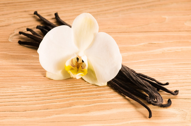 Vanília hüvely és virág - Fotó, kép