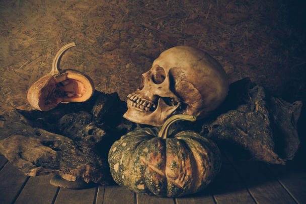 Still Life Skull and pumpkin on the timber. - Foto, Imagen
