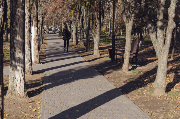 A gray walkway among the trees in a European city. A woman with brown hair walks away on the sidewalk. Brown benches with garbage cans along the sidewalk. - 写真・画像