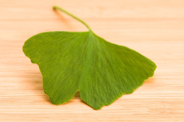 φρέσκα φύλλα ginkgo στο ξύλο - Φωτογραφία, εικόνα