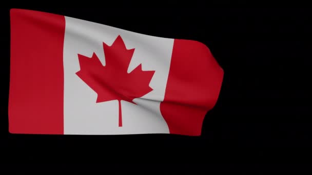 National flag of Canada - Footage, Video