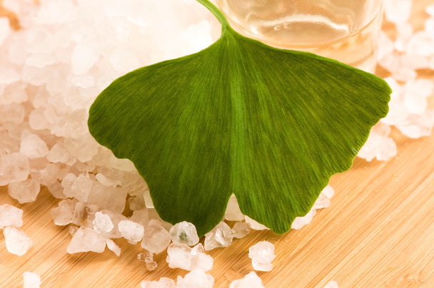 Fresh leaves ginko biloba essential oil and sea salt - beauty tr - Photo, Image