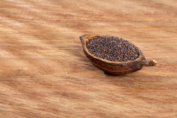 Brassica Nigra - Black Mustard Seeds Or Ajenabe - Фото, зображення
