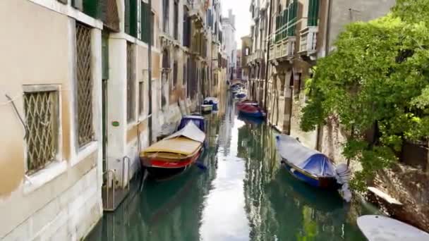 Úzký kanál v Benátkách ulici mezi budovami s zaparkovanými gondolami v blízkosti domů. - Záběry, video