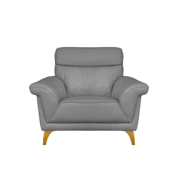 Серое классическое кожаное кресло на латунных ножках изолировано на белом фоне с вырезкой дорожки. Серия мебели, вид спереди - Фото, изображение