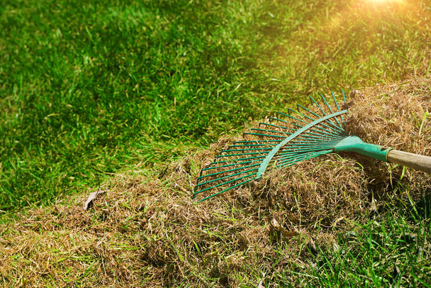 Garden cleaning. Raking dry grass in the garden in early spring - Photo, Image