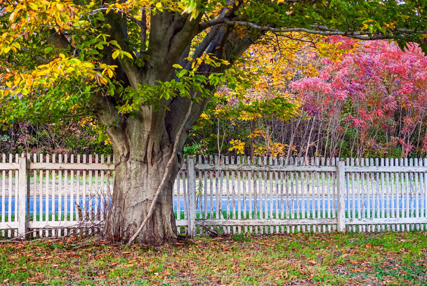Autumn colors and an old white picket fence along this rural New Jersey country road. - Photo, Image