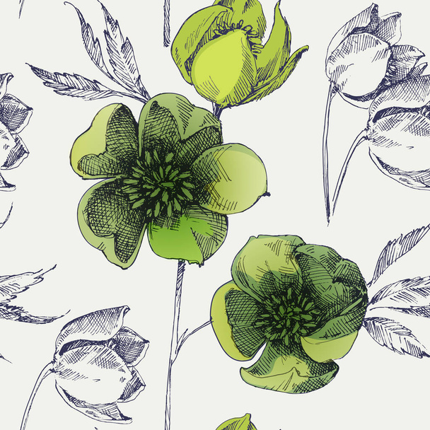 Spring green flowers of hellebore or Lenten rose seamless pattern - Διάνυσμα, εικόνα