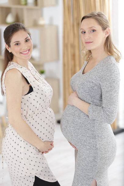 pregnant support group meetup in a house - Fotoğraf, Görsel