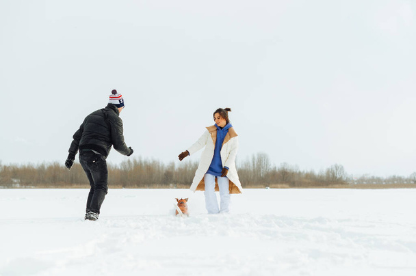 歩いている間に凍った湖の雪の中でかわいい犬のジャック・ラッセルと楽しい男と女 - 写真・画像