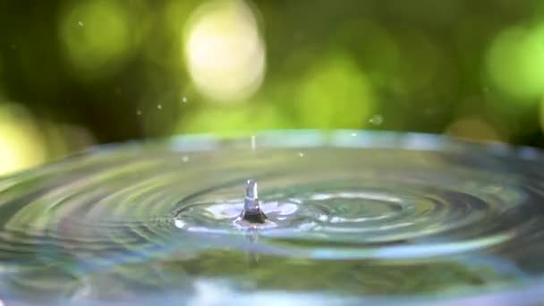 Droplet of water with ripples, in nature - 映像、動画