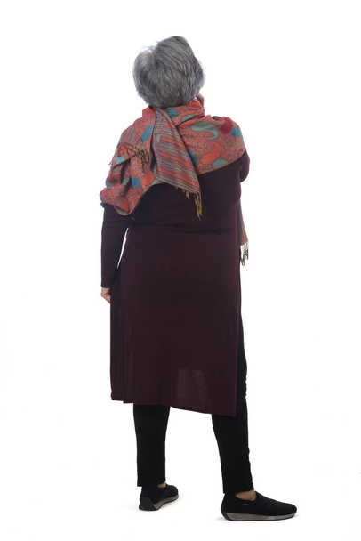 back view of a senior woman posing on white background - Photo, image