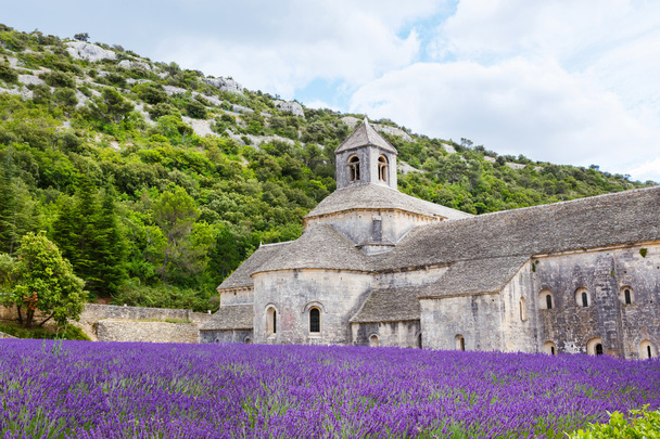Abbey of Senanque and blooming rows lavender flowers - Foto, Imagem