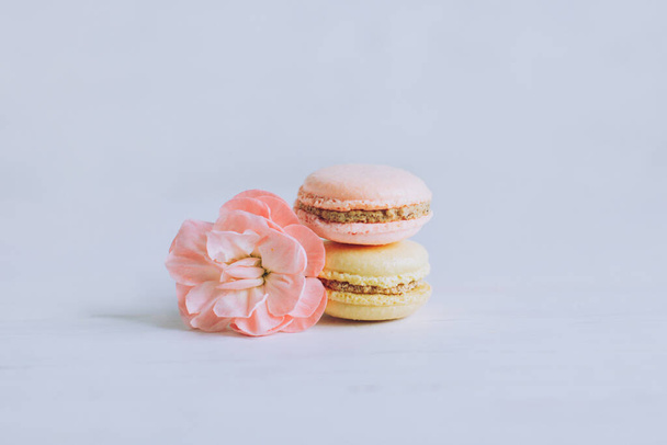 Tasty french macarons with flower on a white background. Place for text. - Foto, Imagen