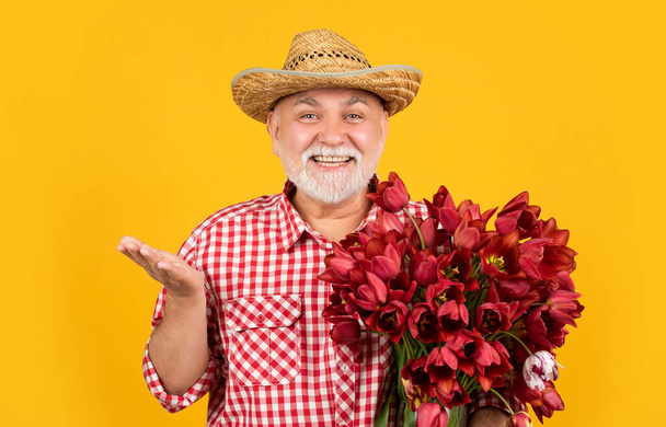 happy old mature man in hat hold spring tulip flowers on yellow background - Fotoğraf, Görsel