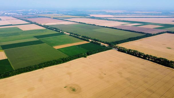 Vista panoramica dall'alto di diversi campi agricoli. Parti di campi di grano giallo - Foto, immagini