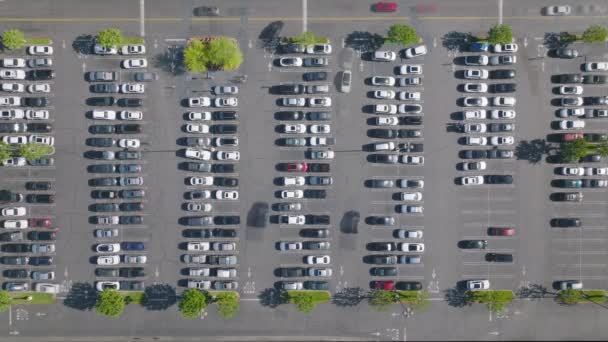 Time lapse luchtfoto snel rijden auto 's parkeren op winkelcentrum op zomerdag - Video