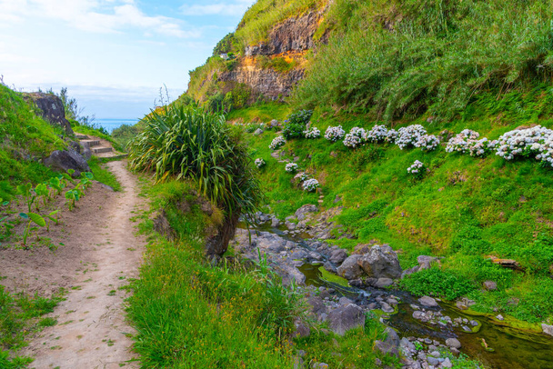 Hiking trail leading towards poco azul at Sao Miguel, Azores, Portugal. - Fotoğraf, Görsel