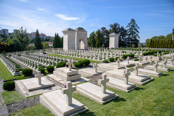 Lviv, Ukraine - September 07, 2021: View of Polish military cemetery (Cmentarz Orlat) in Lychakiv Cemetery in western ukrainian city Lviv - Photo, Image
