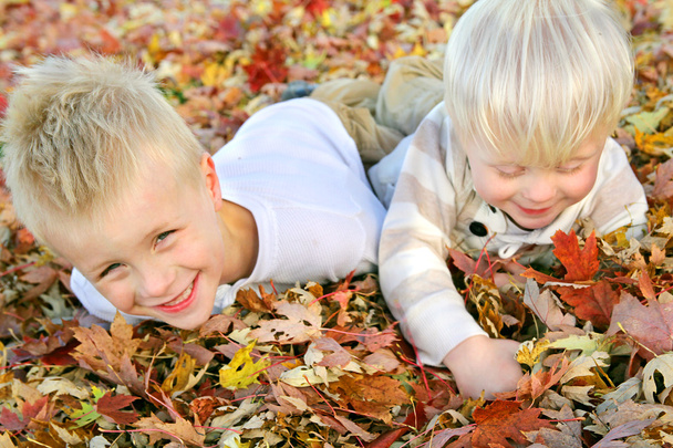 秋葉で遊ぶ 2 人の子供を杭します。 - 写真・画像