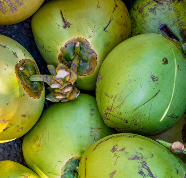 Zavřít pohled hromada čerstvých zelených kokosů právě vybrané - Fotografie, Obrázek