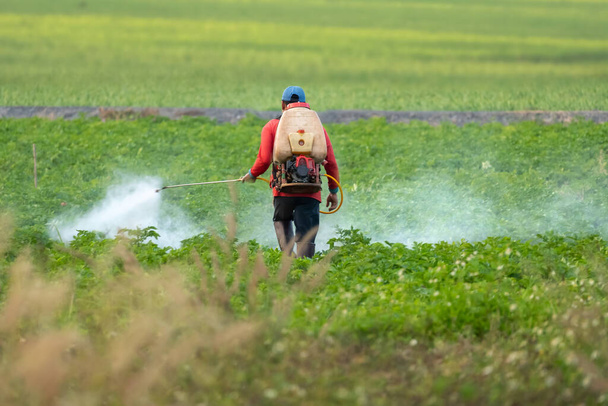 Farmer spraying pesticide on soy field - Photo, Image