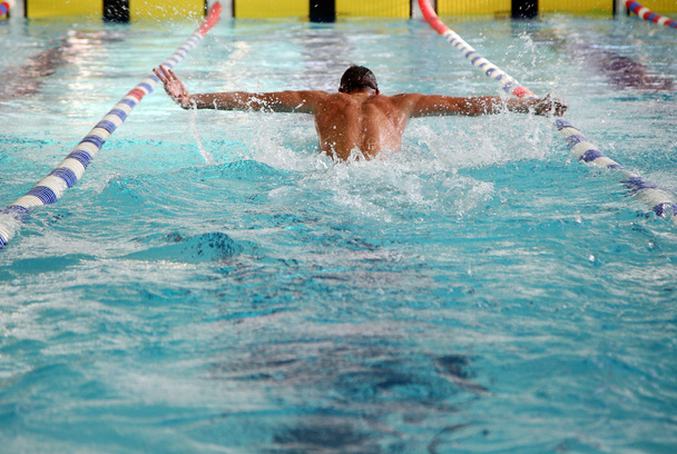 Swimmer in the swimming pool - Fotoğraf, Görsel