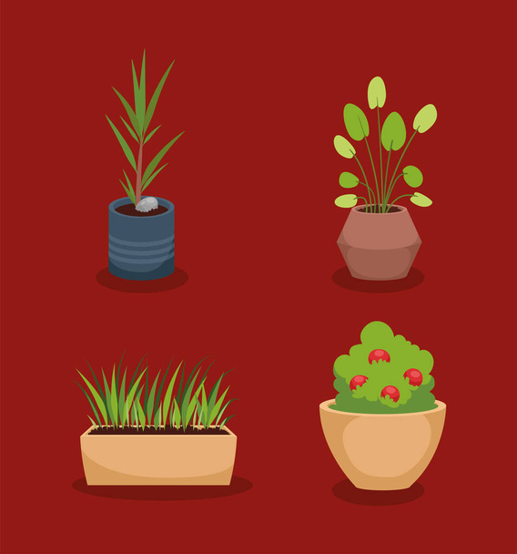 čtyři ozdobné ikony pokojových rostlin - Vektor, obrázek