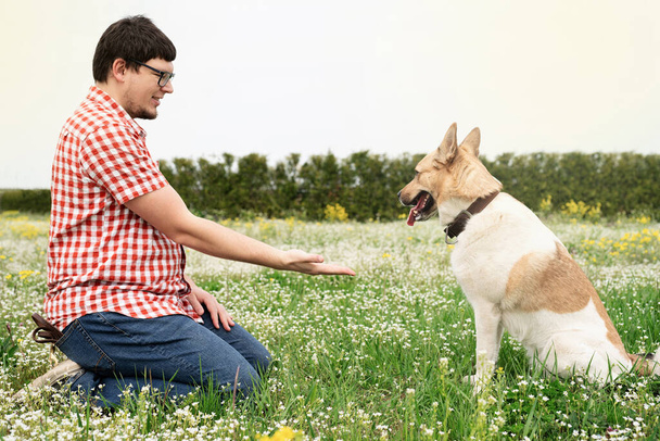 Summer leisure time, pet care and training. Happy man plays with mixed breed shepherd dog on green grass - Φωτογραφία, εικόνα