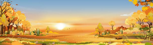 Podzimní venkovská krajina ve večerním světle se západem slunce, modrá a oranžová obloha pozadí, Vektorové karikatury podzimní období na venkově s lesním stromem a travnatým polem s východem slunce, Backdrop přírodní prapor  - Vektor, obrázek