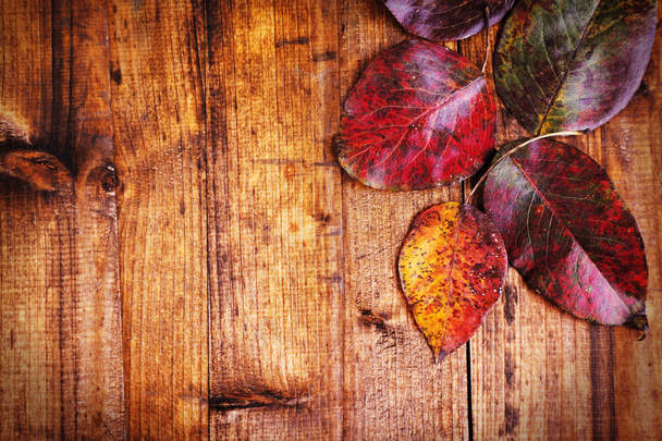 Autumn leaves on wooden background - Photo, image