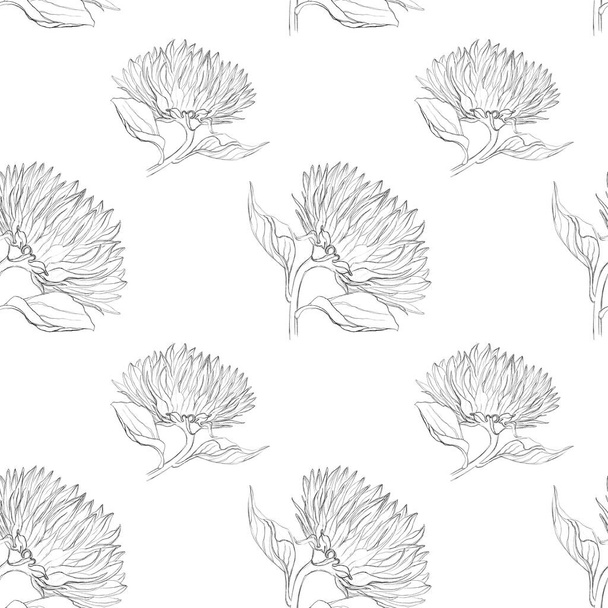 Seamless pattern with sunflowers. Sketch of sunflowers by lines. Black and white floral print. Pattern for wrapping paper, textiles. - Zdjęcie, obraz