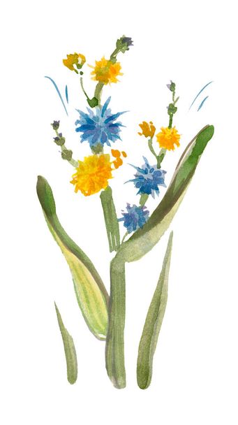 Ilustración floral Colección con flores aisladas, dibujo acuarela. Diseño para invitaciones, bodas o tarjetas de felicitación - Foto, Imagen