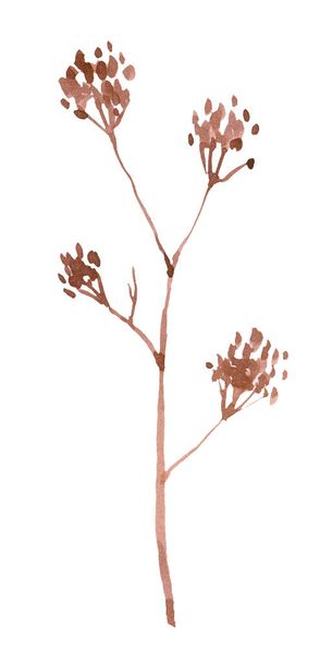vertical illustration of a dried flower in the middle of nature - Фото, зображення
