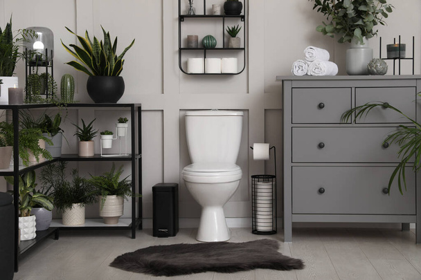 Stylish bathroom interior with toilet bowl and many beautiful houseplants - Φωτογραφία, εικόνα