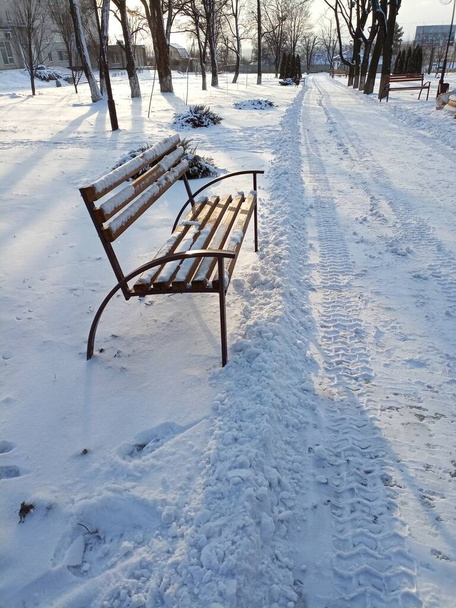 Fa pad a parkban, hófödte. A tél kezdete. - Fotó, kép