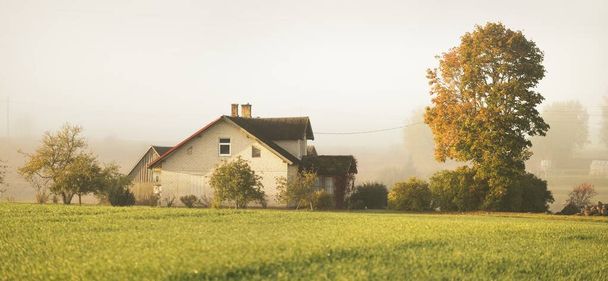 Modern brick country house (cottage) and green plowed agricultural field in a morning fog. Autumn rural scene. Architecture, agriculture, farm, ecology, countryside, ecotourism - Photo, Image