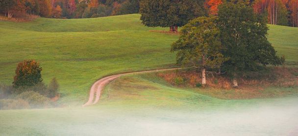 Pittoresk uitzicht op een kronkelende landweg door de groene heuvels, velden en bossen in een mist bij zonsopgang. Eiken, sparren, berken. Kleurrijke gouden, rode, oranje bladeren. Natuur, seizoenen, herfst - Foto, afbeelding