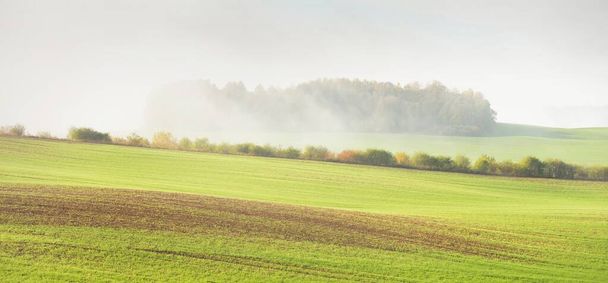Zöld dombok, szántott mezőgazdasági terület traktorokkal és erdőkkel napkeltekor, közelkép. Napfény, köd, köd. Őszi táj. Idilli vidéki élet. Természet, ökológia, évszakok, ökoturizmus. Németország - Fotó, kép