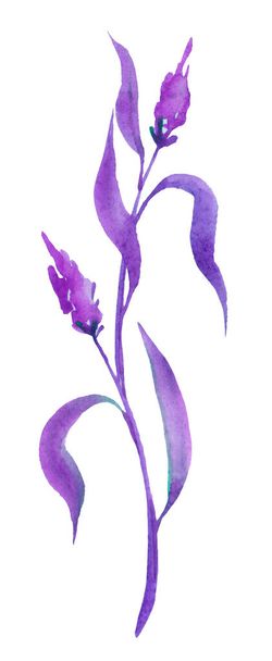 Schöne violette Blätter Mobile Wallpaper - Foto, Bild
