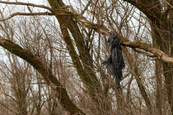Bolsa de plástico negro cuelga del árbol, residuos plásticos domésticos problema de contaminación ambiental - Foto, imagen