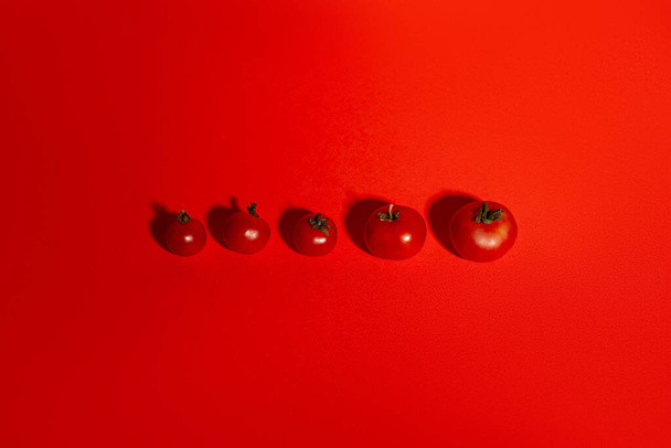Red Tomatoes. Fresh Organic Tomatoes on Red Background. Group of Objects, Healthy Eating, Healthy Lifestyle, Product - Foto, Imagen