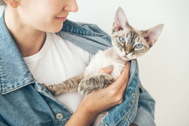 Gato sentado bajo la chaqueta de un propietario, sintiéndose seguro, protegido y cómodo. Primer plano de la mujer y amigable gato de ojos azules. - Foto, imagen